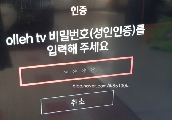 채널을 차단하는 보이지 않게 하기 (하루 종일 게임 프로그램을 보는 6세 어린이) KT 올레TV 유해 5