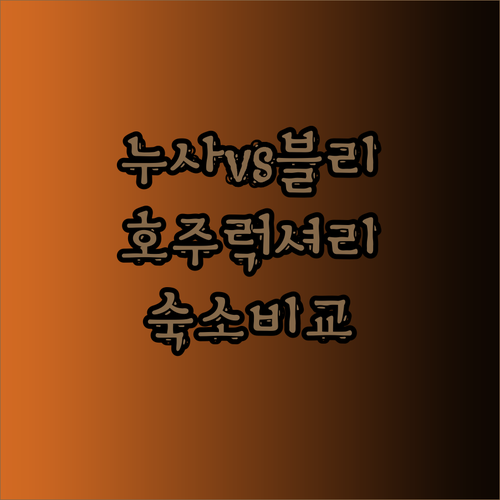 누사 레이크 리조트vs블리 블리 하우