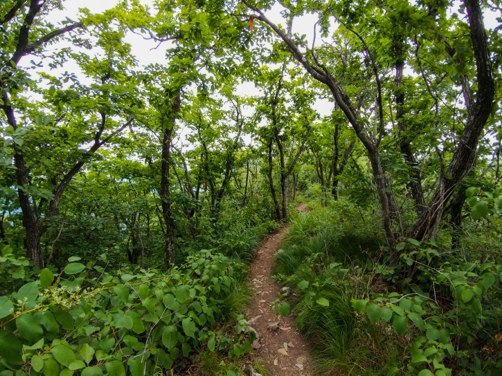 한국 명산 충북 제천 금수산 등산 mountain hiking