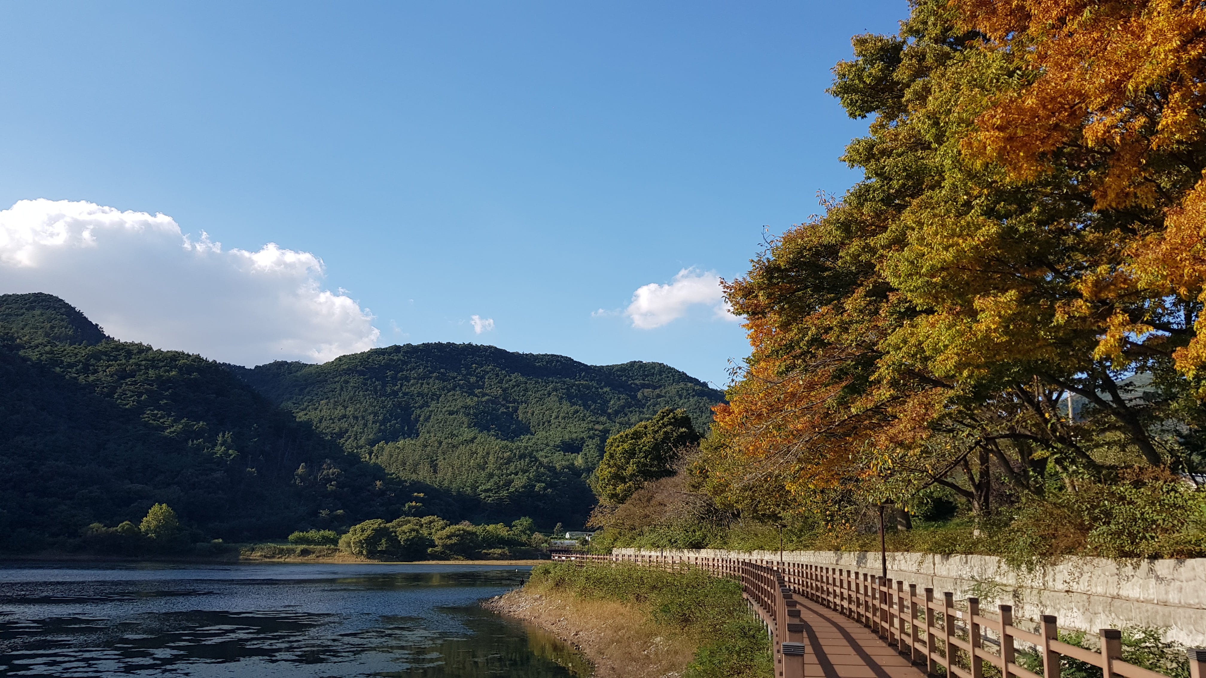 수변 데크길 우측으로 가을 나뭇잎도 반짝입니다