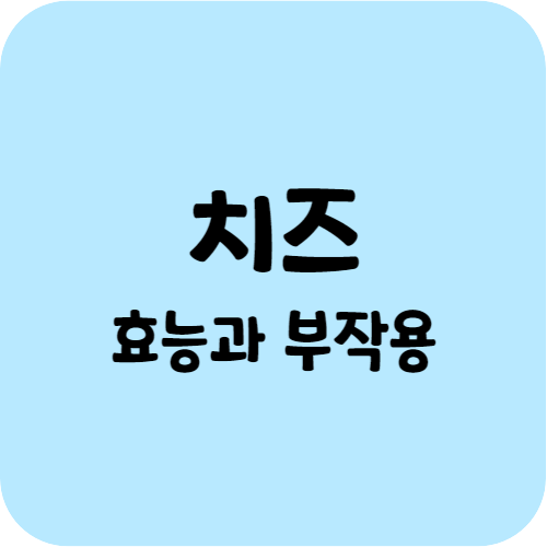 치즈 효능