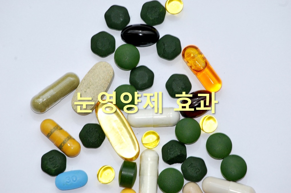  눈 영양제 추천과 눈 영양제 효과