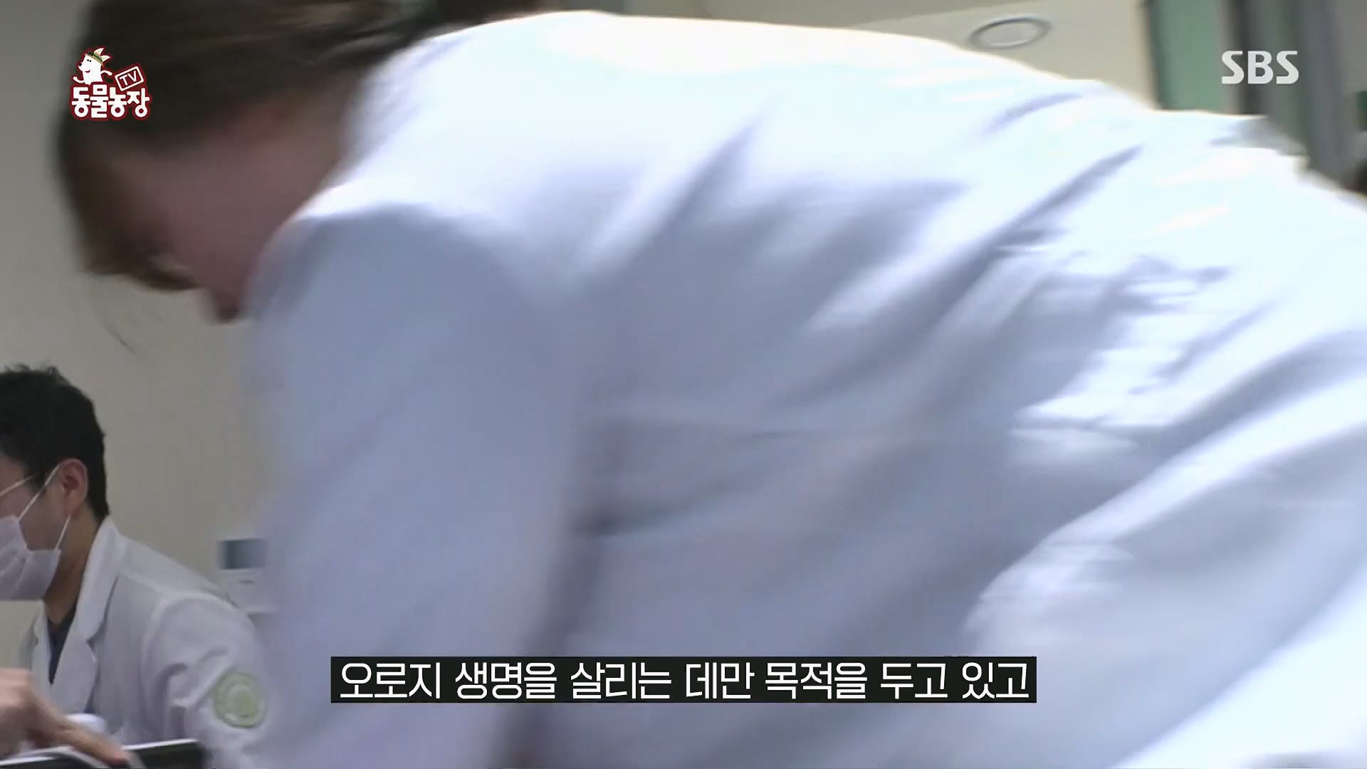 TV 동물농장.E1123.230604p.H264-F1RST.mp4_20230604_173305.775.jpg