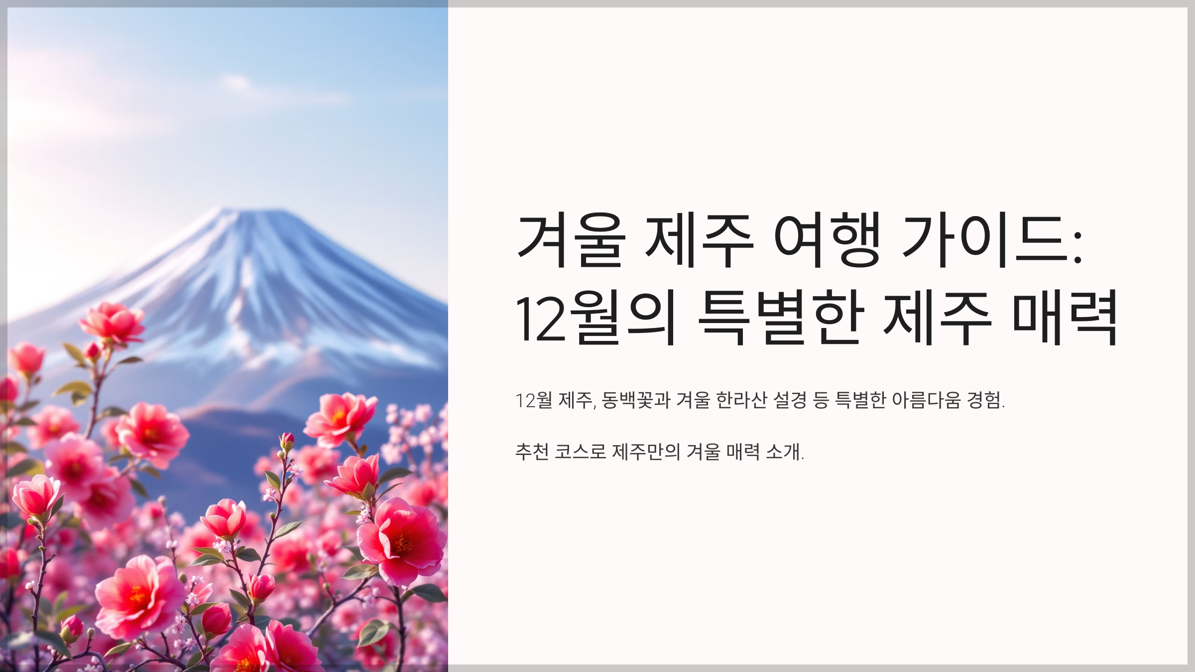 겨울 제주 여행 가이드: 12월의 특별한 제주 매력 !