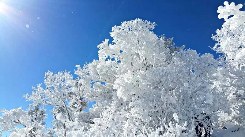 지리산 설경 상고대