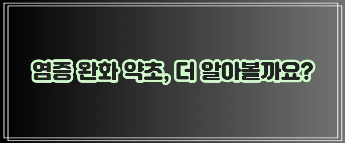 만성염증 완화에 좋은 약초 5가지, 꼭 기억하세요!