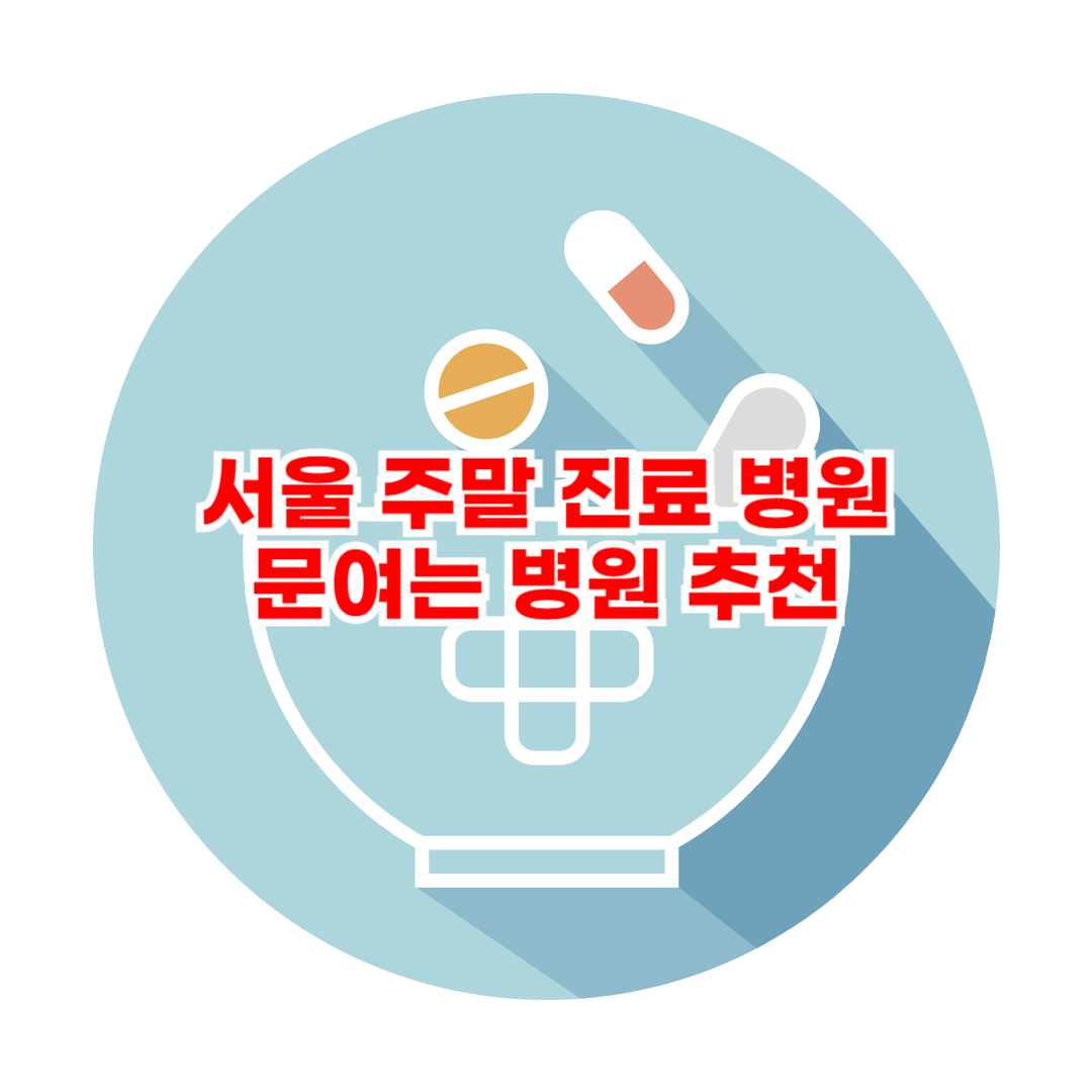 서울 주말 진료 병원 문여는 병원 추천