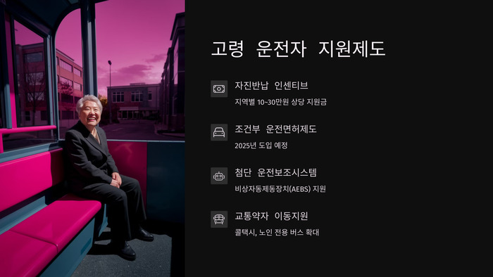 고령 운전자 지원제도