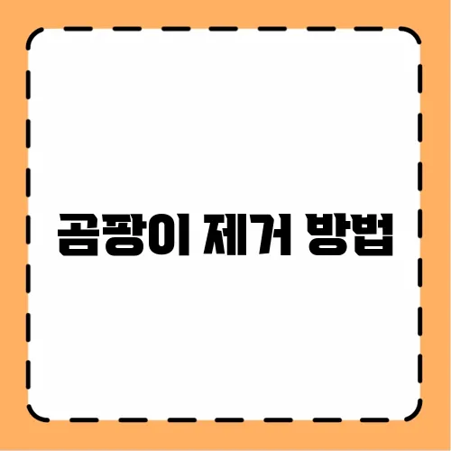 곰팡이 제거 방법