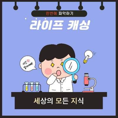  C세대는 누구를 뜻할까요?(feat. 라이프 캐싱 알아보기)