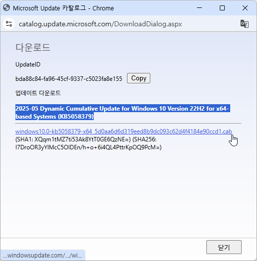 Windows 10 22H2 x64(일반사용자용) 직접링크 제공