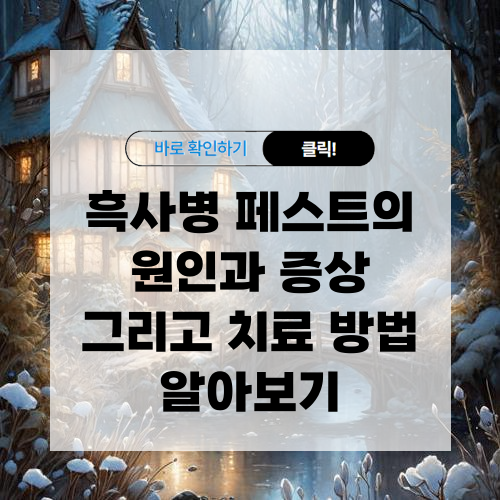 흑사병 페스트의 원인과 증상 그리고 치료 방법 알아보기