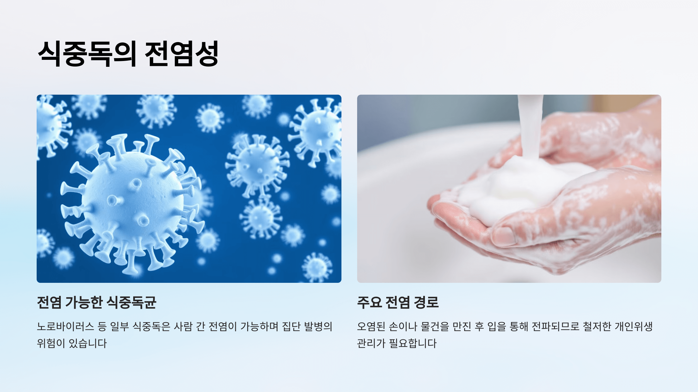 식중독과 관련된 사진입니다.