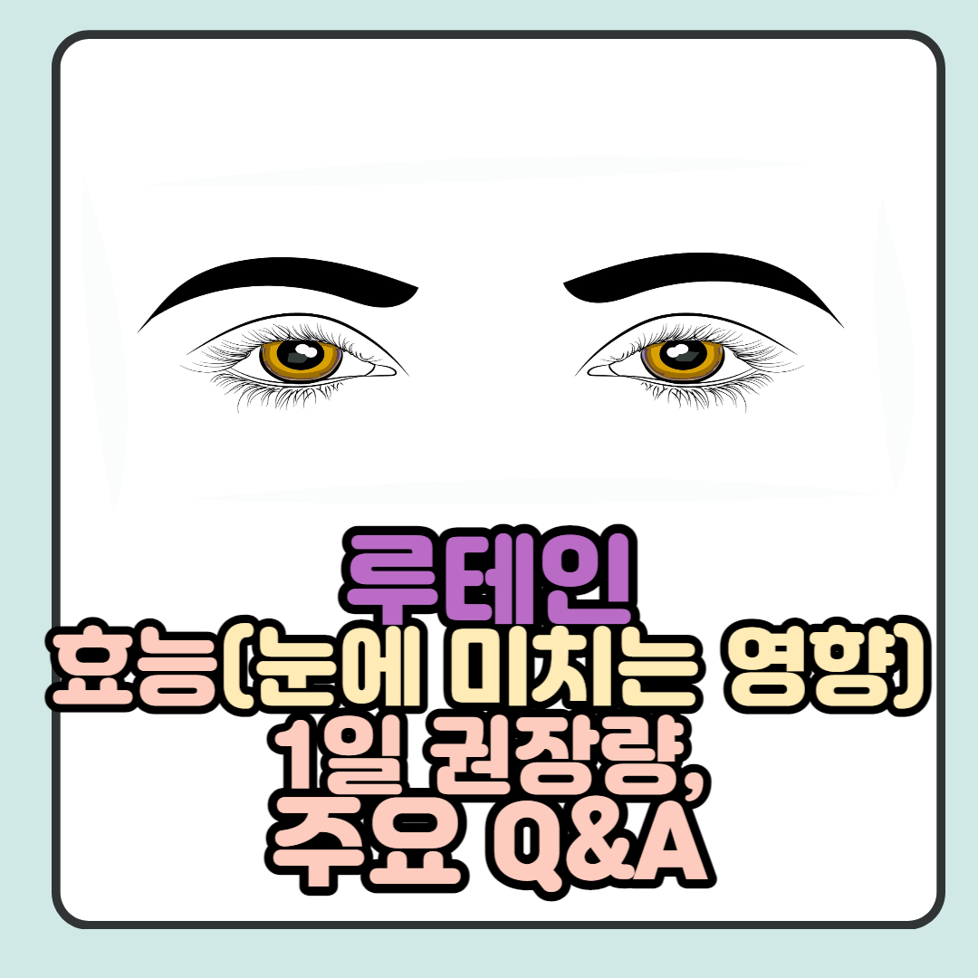  루테인 효능(눈에 미치는 영향), 하루 권장량 등 총 정리