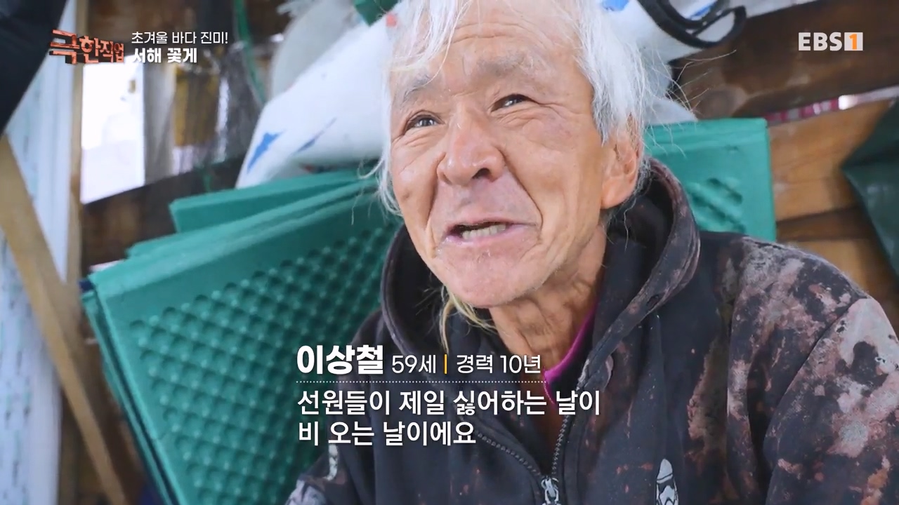 TV - 전 국민의 평생학교 EBS초겨울 바다 진미! 동해 방어, 서해 꽃게.mp4_20231228_204119.941.jpg
