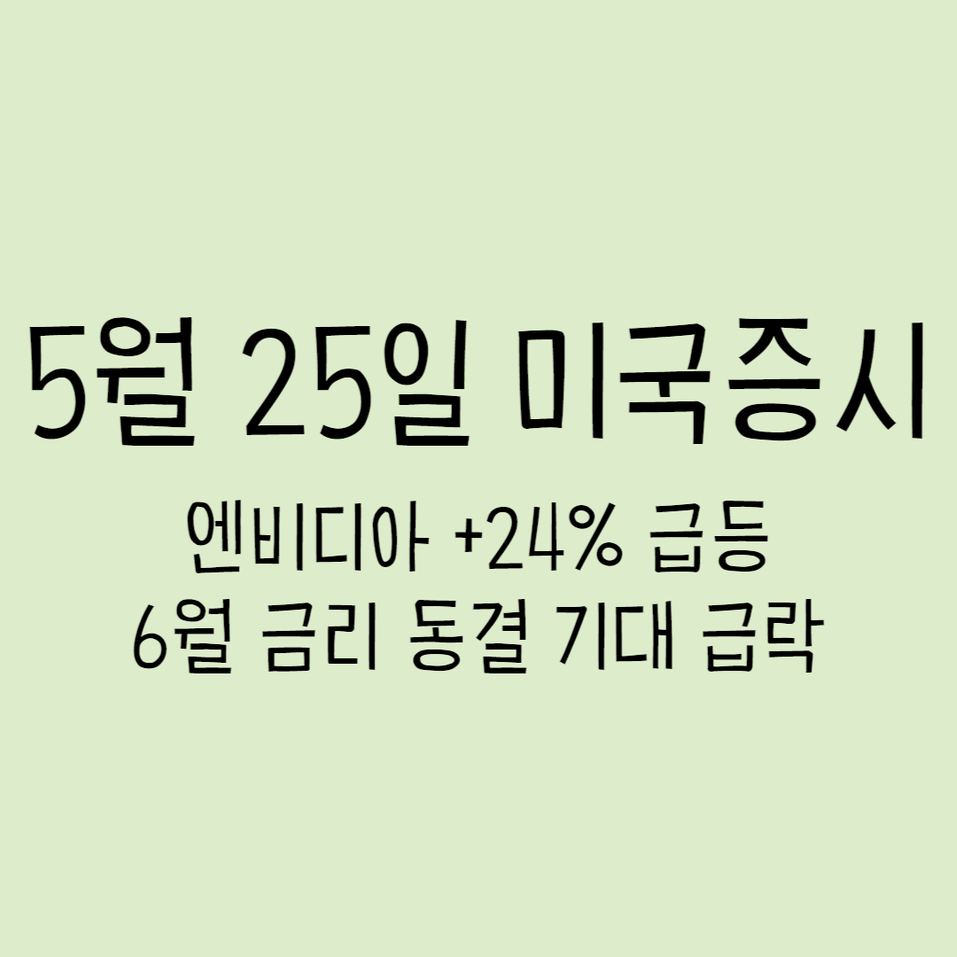  5월 25일 미국증시 - 엔비디아 +24% 급등, 6월 금리 동결 기대 급락