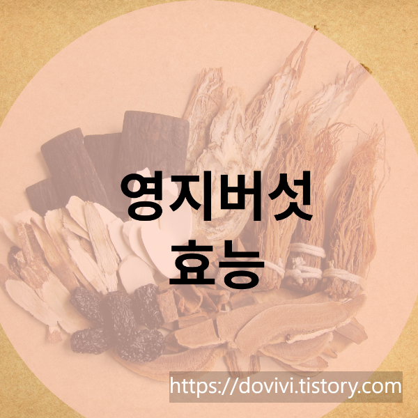 영지버섯 효능