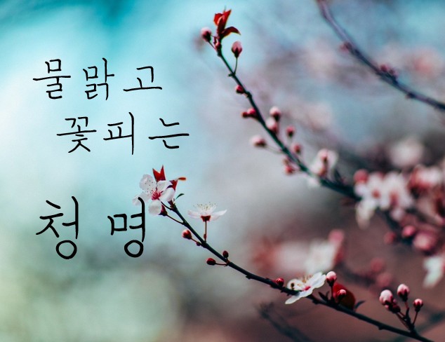 청명 이미지