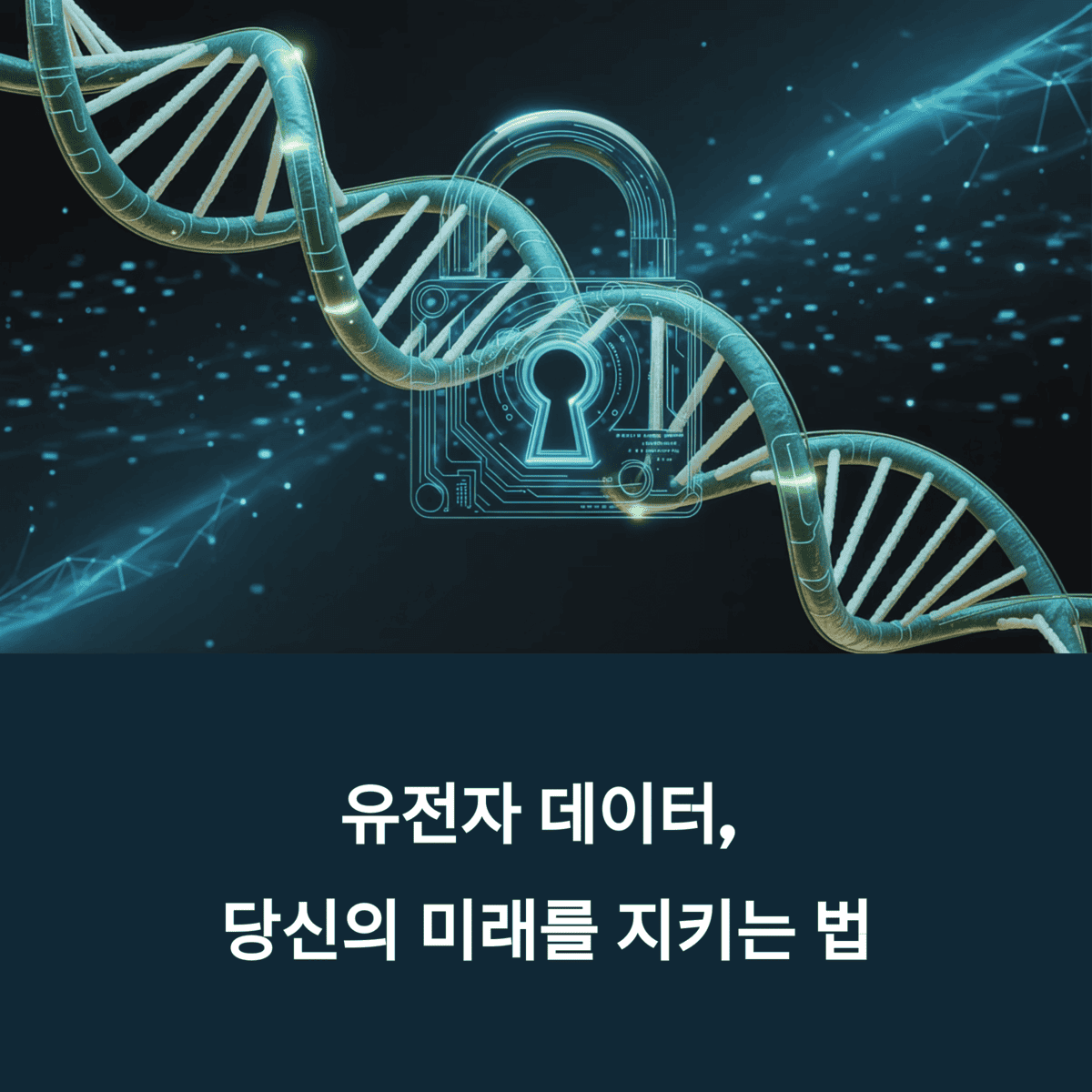 건강 의료