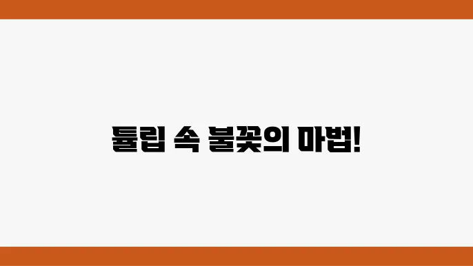 튤립과 불꽃의 환상적인 조화, 피나클랜드 여행 완벽 가이드