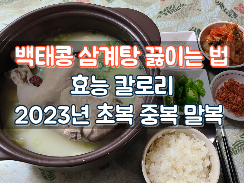 백태콩 삼계탕 끓이는법 효능 칼로리 닭백숙끓이는법 2023년 초복 중복 말복