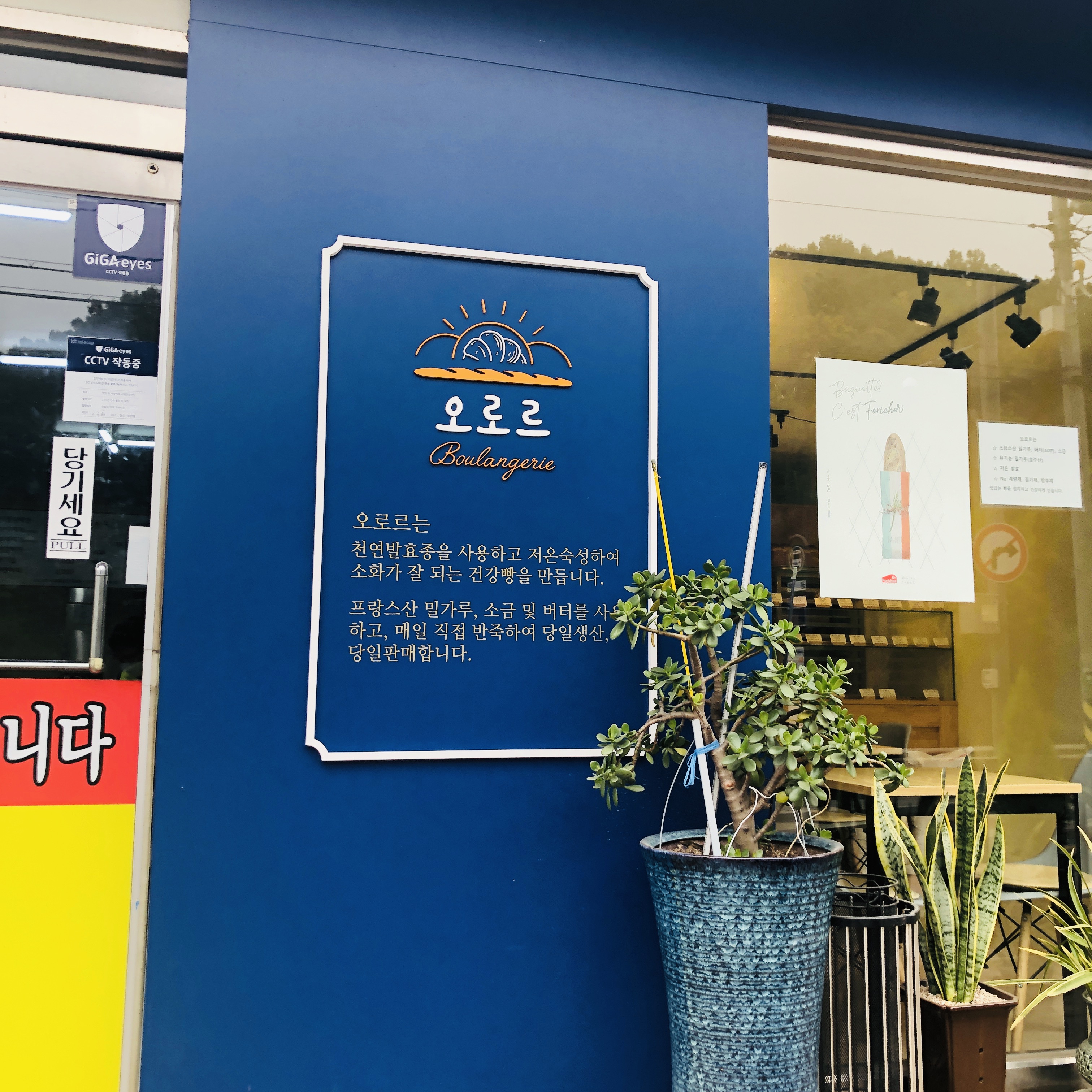  골목빵집 고기동 오로르
