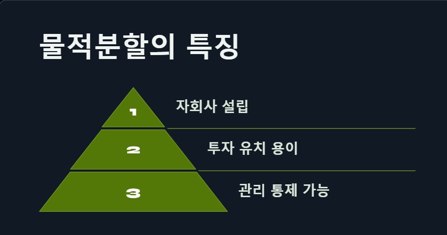 물적분할의 특징