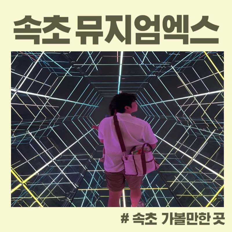  [속초 가볼만한 곳] 실내 데이트 뮤지엄엑스 + 오아시스엑스 아기랑 방문 후기