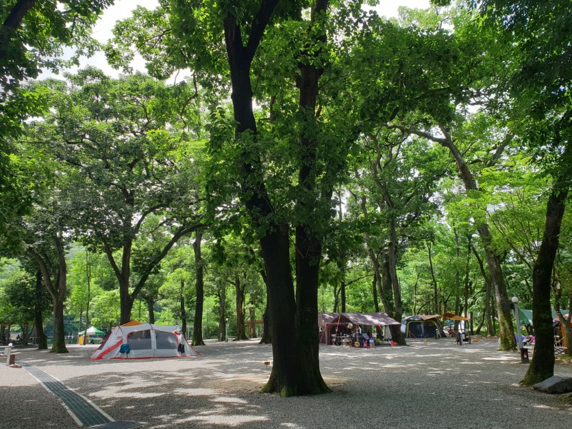 금관숲캠핑장 이미지
