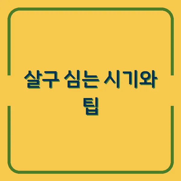 살구 심는 시기와 팁