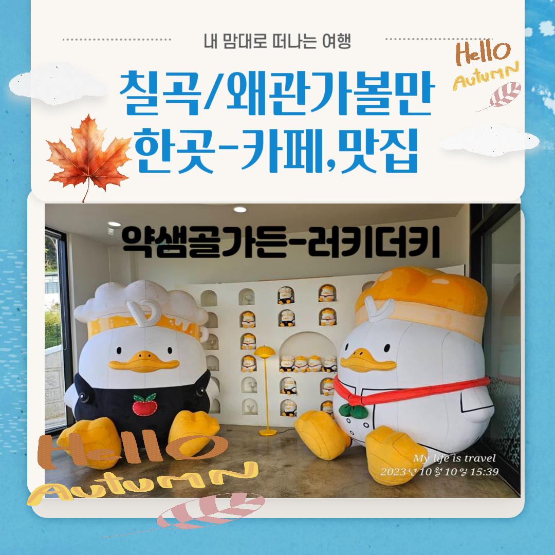  칠곡왜관가볼만한곳-카페,맛집추천-약샘골가든-러키더키