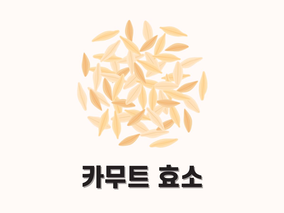 카무트 효소