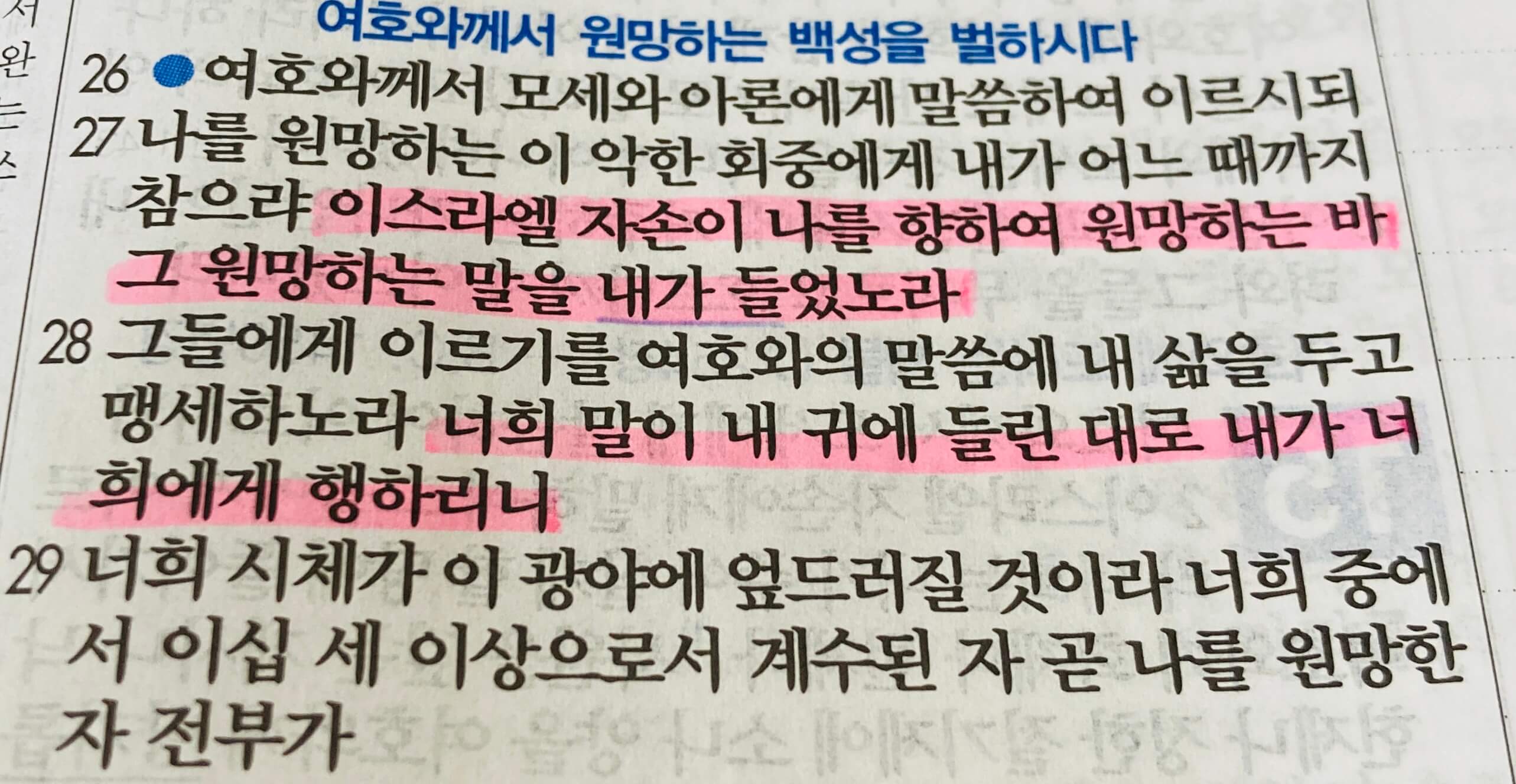 내 귀에 들린 대로&#44; 원망과 신앙고백과 감사