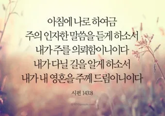 시편 84장 11절 읽기 - 여호와 하나님은 해요 방패이시라 여호와께서 은혜와 영화를 주시며_14