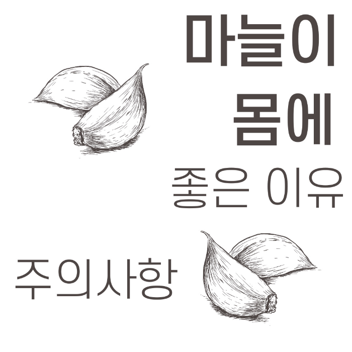  마늘이 몸에 좋은 이유와 주의 사항 알아보기