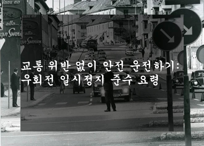  교통 위반 없이 안전 운전하기: 우회전 일시정지 준수 요령