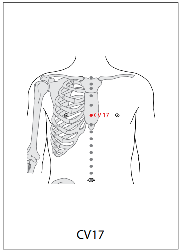 임맥 (CV) > CV17 전중[단중] (膻中) 1