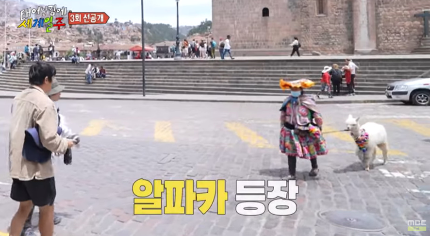 태계일주 시즌1에서 못한 소원 드디어 이뤘다는 기안 | 인스티즈