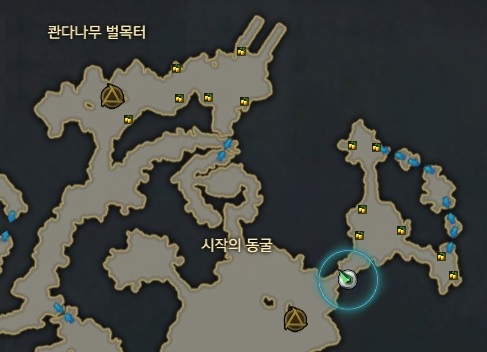  볼다이크 콴다 열매 위치