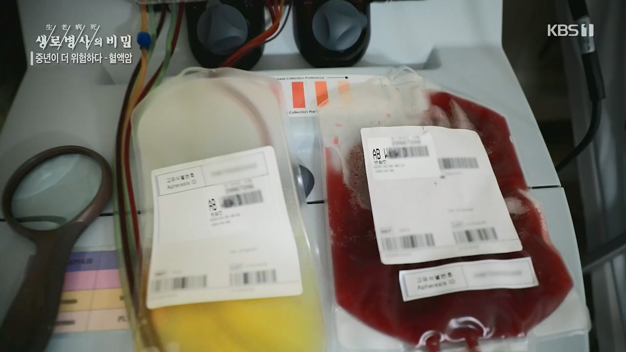 생로병사의 비밀.E868.230511p.H264-F1RST.mp4_20230511_201638.096.jpg