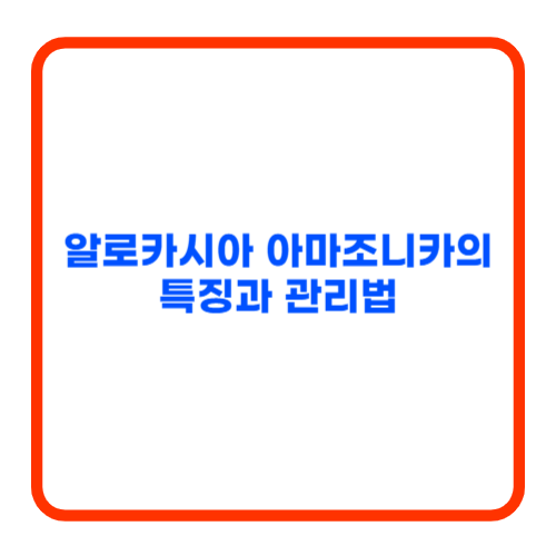 알로카시아 아마조니카의 특징과 관리법