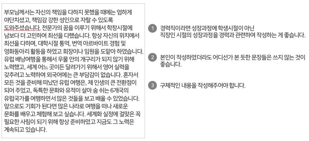 자기소개서예시및피드백