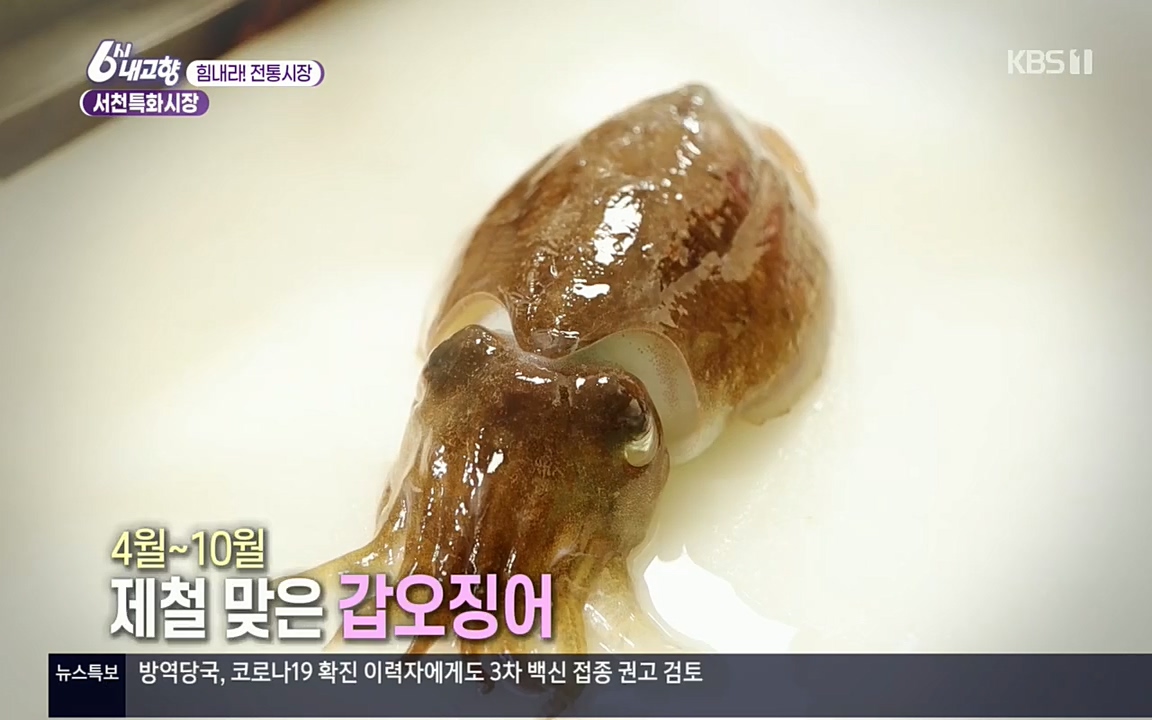 6시 내고향.E7511.220415p.H264-F1RST.mp4_20220425_174119.683.jpg