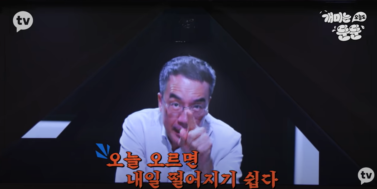 <개미는 오늘도 뚠뚠>으로 배운 주식 공부 (시즌1 1화~3화) <개미는 오늘도 뚠뚠>으로 배운 주식 공부 (시즌1 1화~3화)
