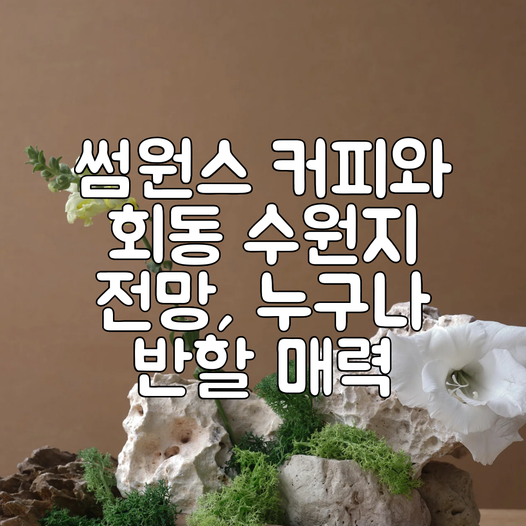 썸원스 커피와 회동 수원지 전망, 누구나 반할 매력