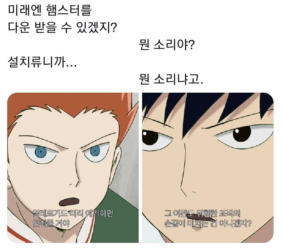 쇼우 이미지