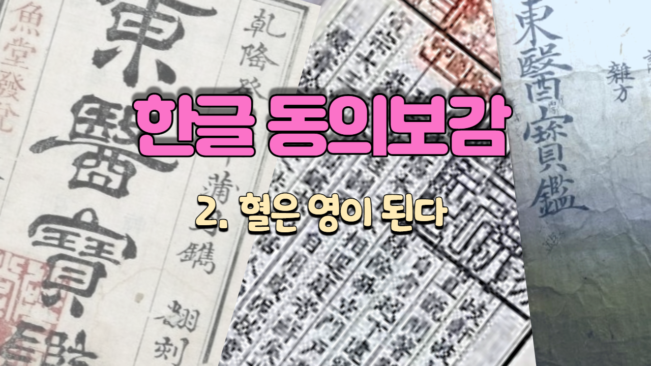  2. 혈(血)은 영(榮)이 된다 ( 내경편 혈 )