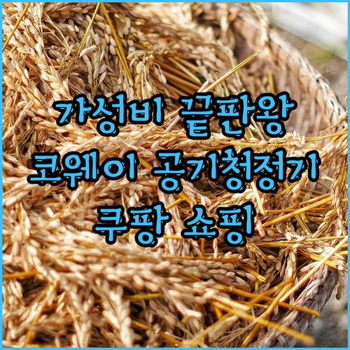 가성비 끝판왕 코웨이 노블 공기청정기