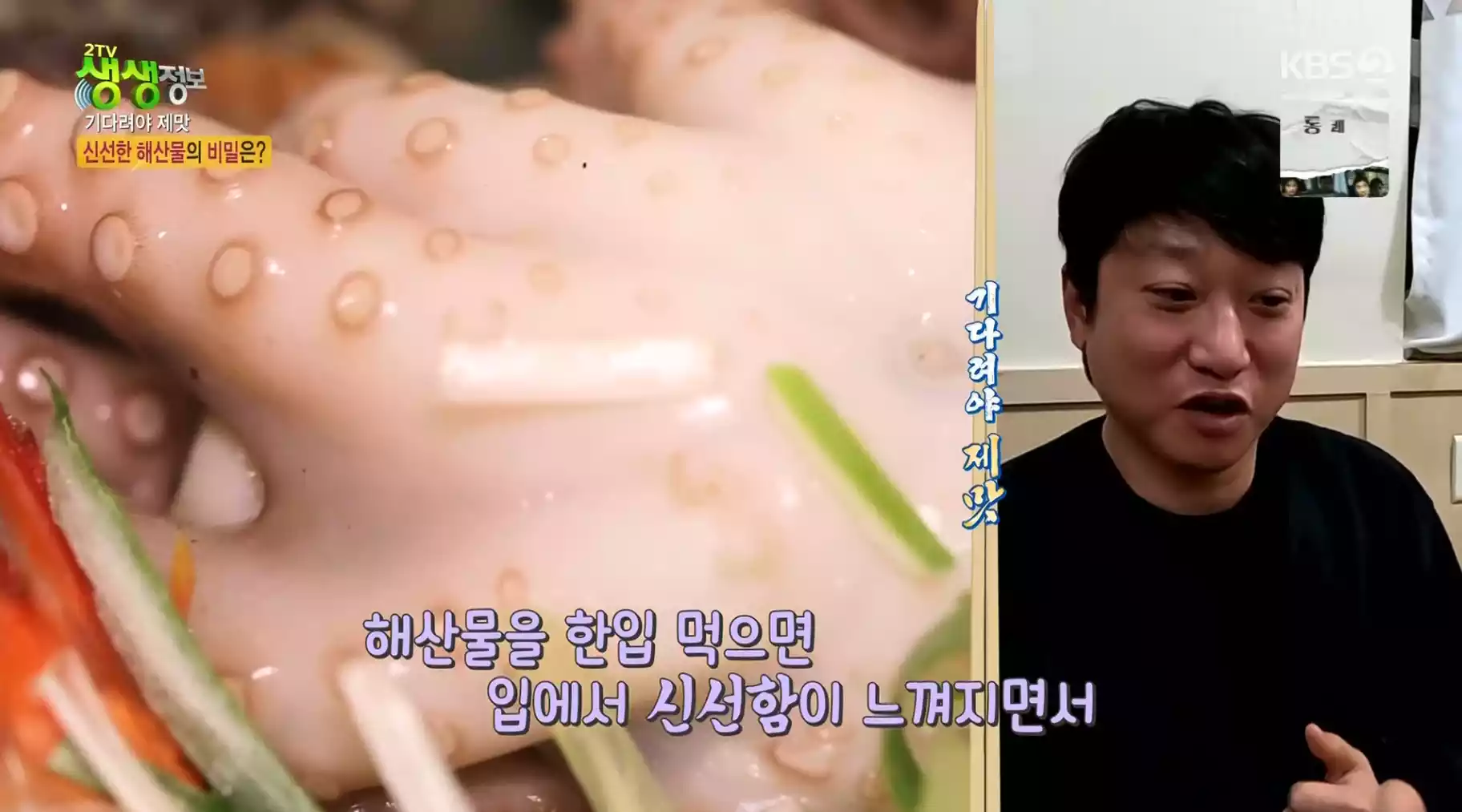 낙지