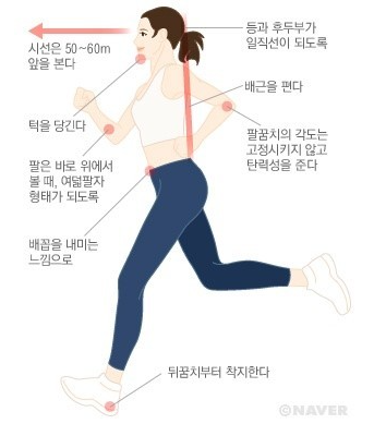 달리기자세